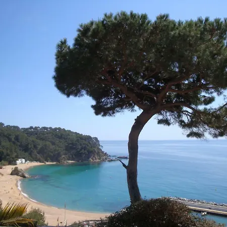 Parfait Villa Lloret de Mar